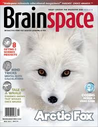 Brainspace - Winter 2020/2021