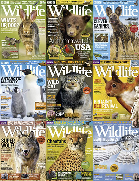 download BBC Wildlife - 2018 Full Year Collection