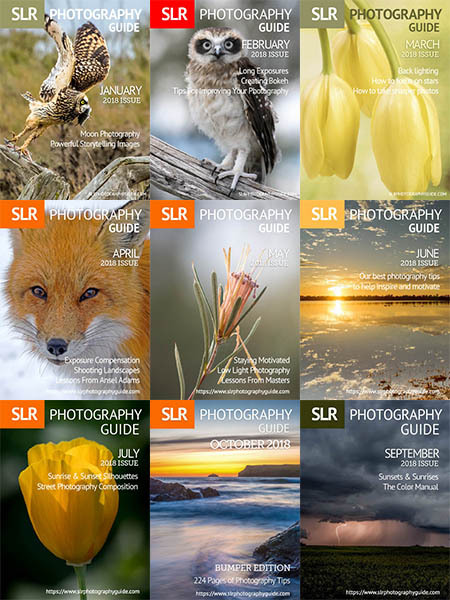SLR Photography Guide - Full Year 2018 Collection
