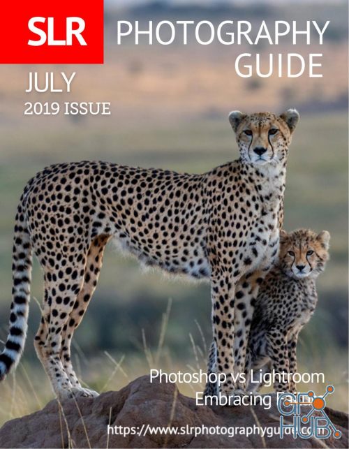 SLR Photography Guide - July 2019