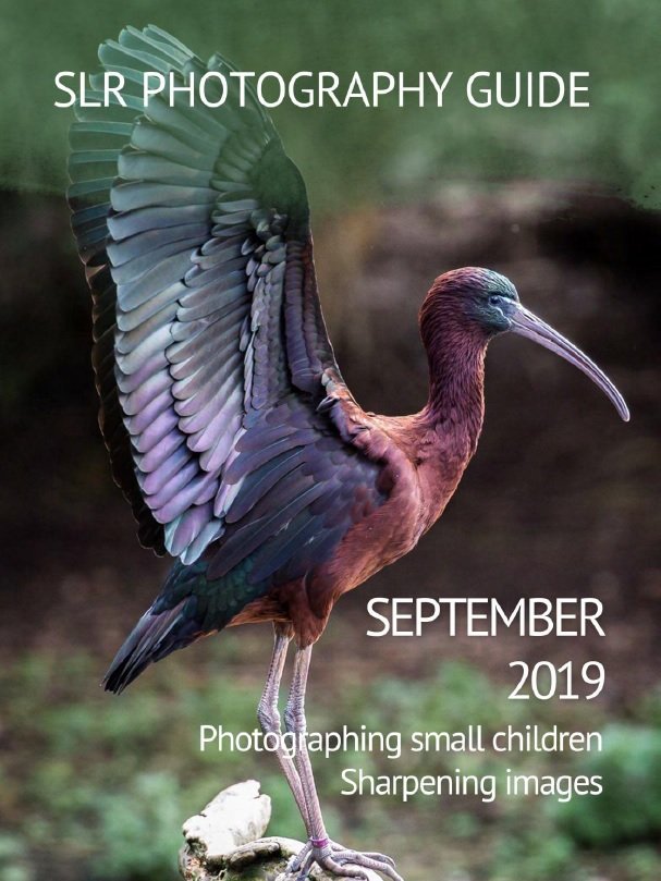 SLR Photography Guide - September 2019