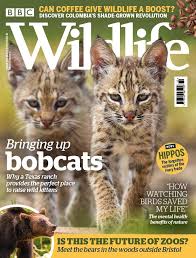BBC Wildlife - October 2019