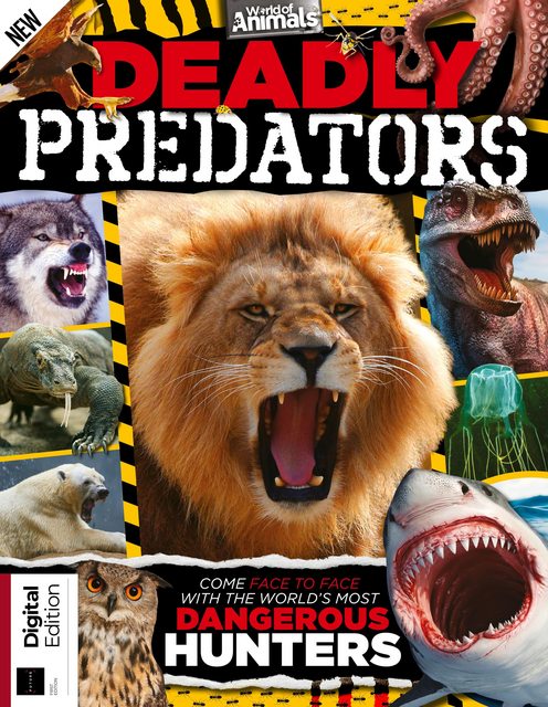 World of Animals: Deadly Predators - November 2019