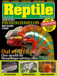 Practical Reptile Keeping - Issue 120 - December 2019