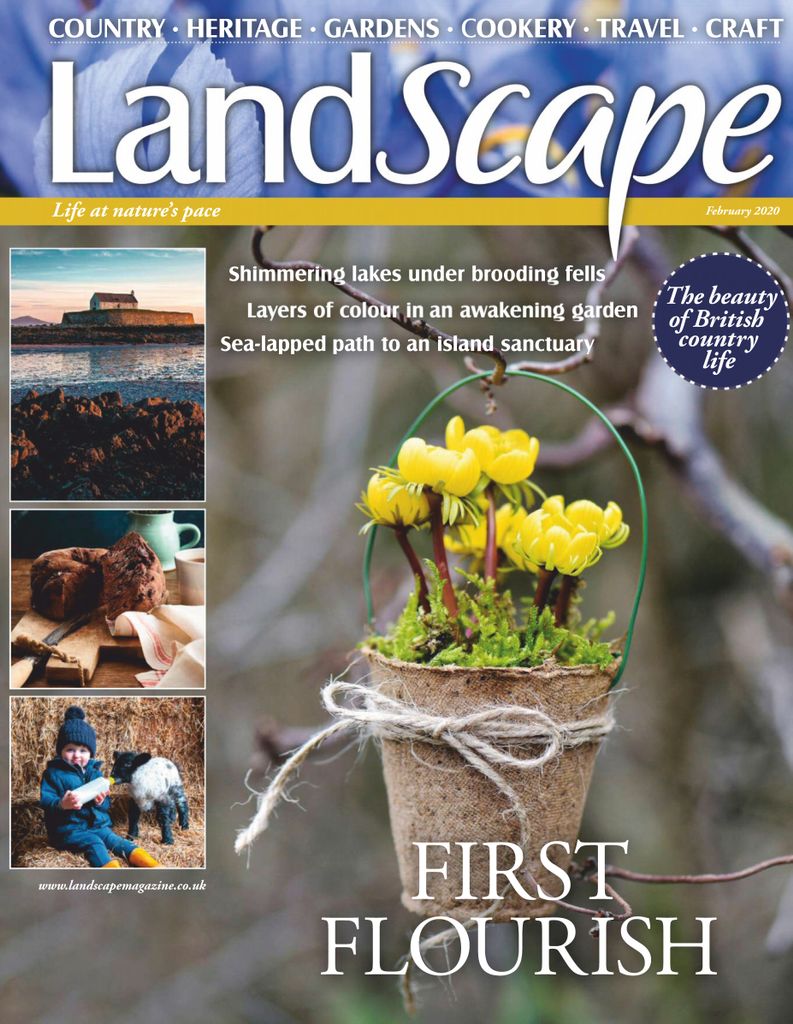 Landscape UK - February 2020