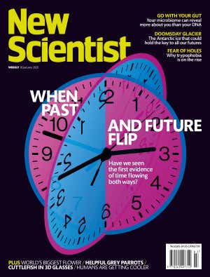 New Scientist - January 18, 2020