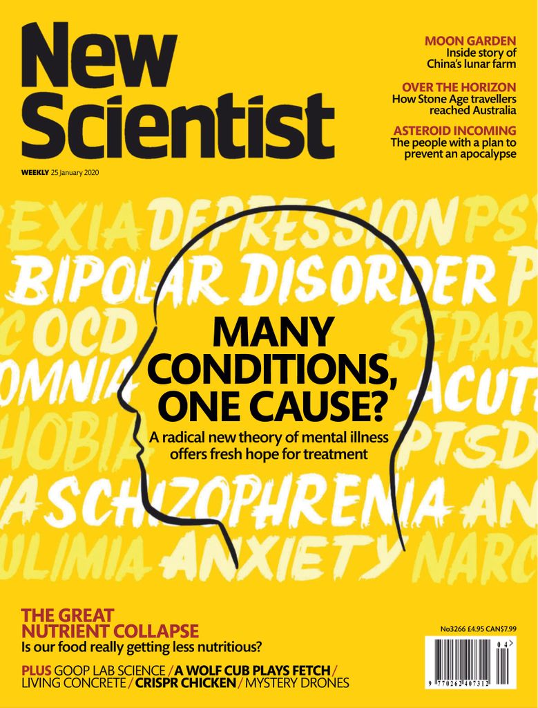 New Scientist International Edition - January 25, 2020