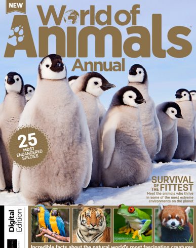 World Of Animals Annual - Volume 6 2020
