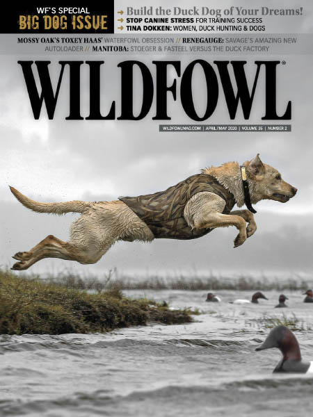 Wildfowl - April 2020
