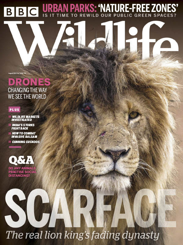 BBC Wildlife - August 2020