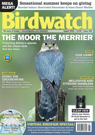 Birdwatch UK - August 2020