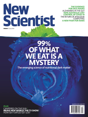New Scientist International Edition - July 25, 2020