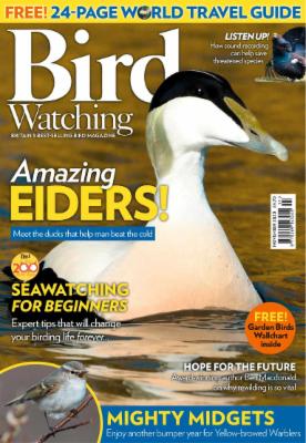 Bird Watching UK - November 2020