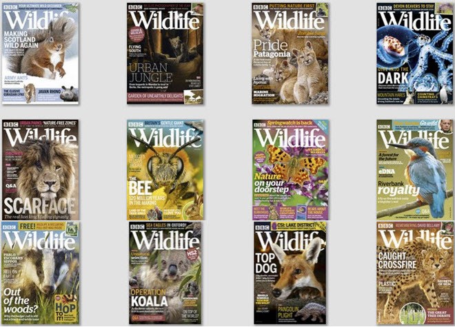 download BBC Wildlife – 2019 Full Year Collection