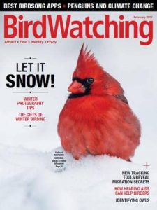 BirdWatching USA - January/February 2021