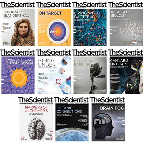 The Scientist - 2019 Full Year Collection