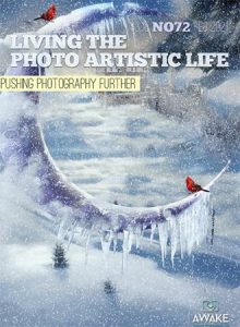 Living The Photo Artistic Life - February 2021