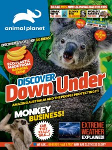 Animal Planet Magazine - 17 March 2021