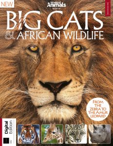 World of Animals Book of Big Cats & African Wildlife - 31 March 2021