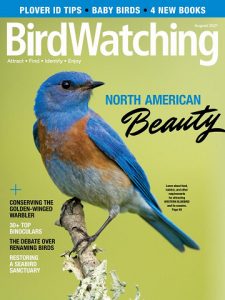 BirdWatching USA - July/August 2021