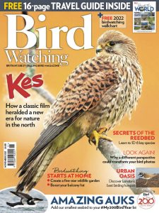 Bird Watching UK - November 2021