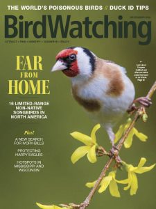 BirdWatching USA - November/December 2021