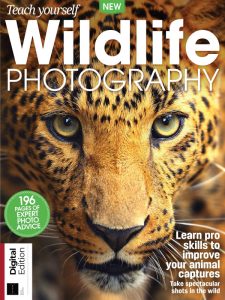 Teach Yourself Wildlife Photography - 21 October 2021