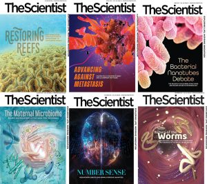 The Scientist - 2021 Full Year Collection