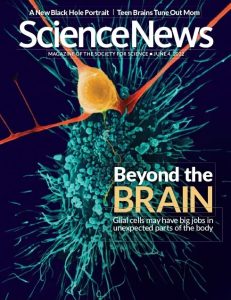 Science News – June 4, 2022