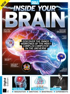 How It Works: Inside Your Brain - 3rd Edition 2022
