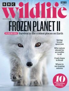 BBC Wildlife Magazine - October 2022