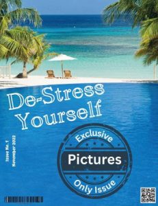 De-Stress Yourself - November 2022