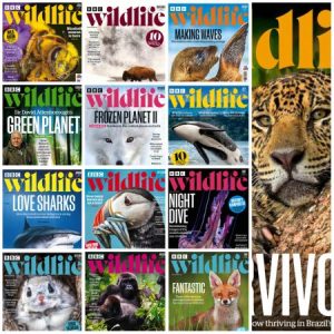 BBC Wildlife Magazine - 2022 Full Year Issues Collection