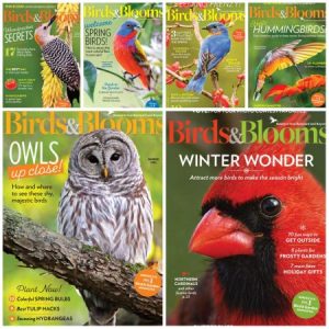 Birds & Blooms - 2022 Full Year Issues Collection