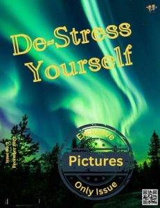 De-Stress Yourself - December 2022