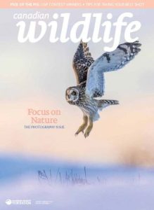 Canadian Wildlife - January-February 2023